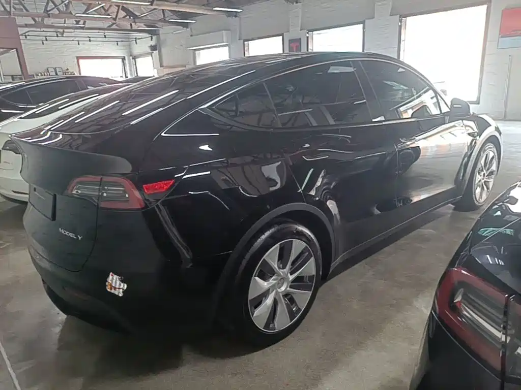 Tesla Model Y — миниатюра 6