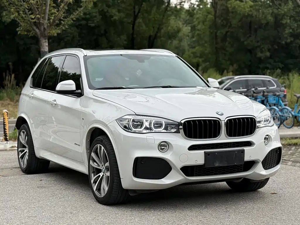 BMW X5 (Import) — миниатюра 3