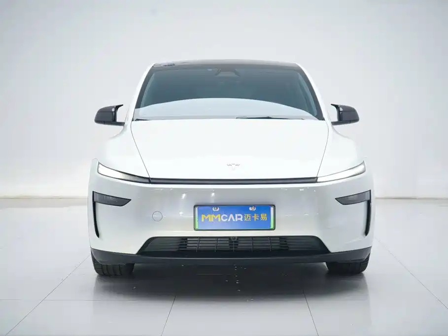 Tesla Model Y — миниатюра 10