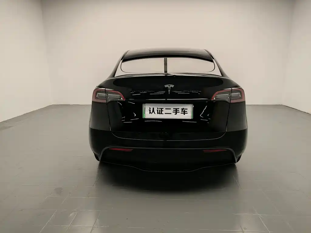 Tesla Model Y — миниатюра 6