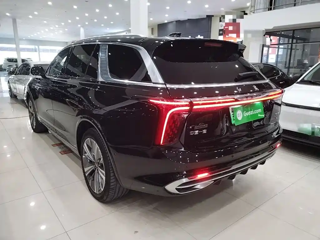 Hongqi Hongqi E-HS9 — миниатюра 5