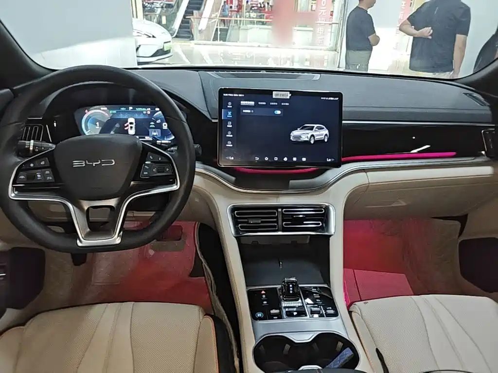 BYD PLUS New Energy — миниатюра 10
