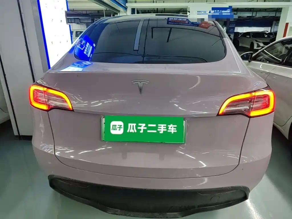 Tesla Model Y — миниатюра 6