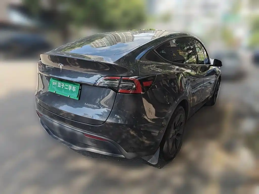 Tesla Model Y — миниатюра 4