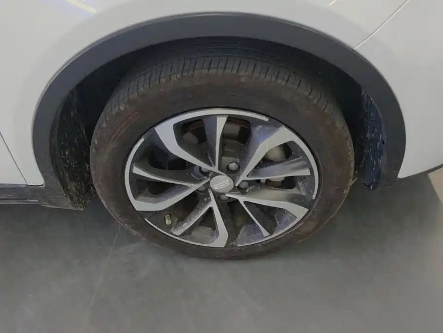 Geely Emgrand GS — миниатюра 6