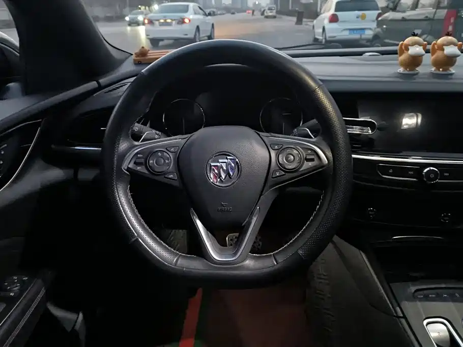 Buick Regal — миниатюра 15
