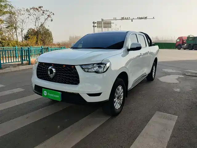 GREAT WALL CANNON 2020