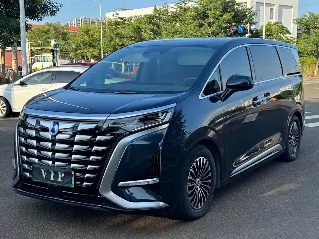 Denza Denza D9
