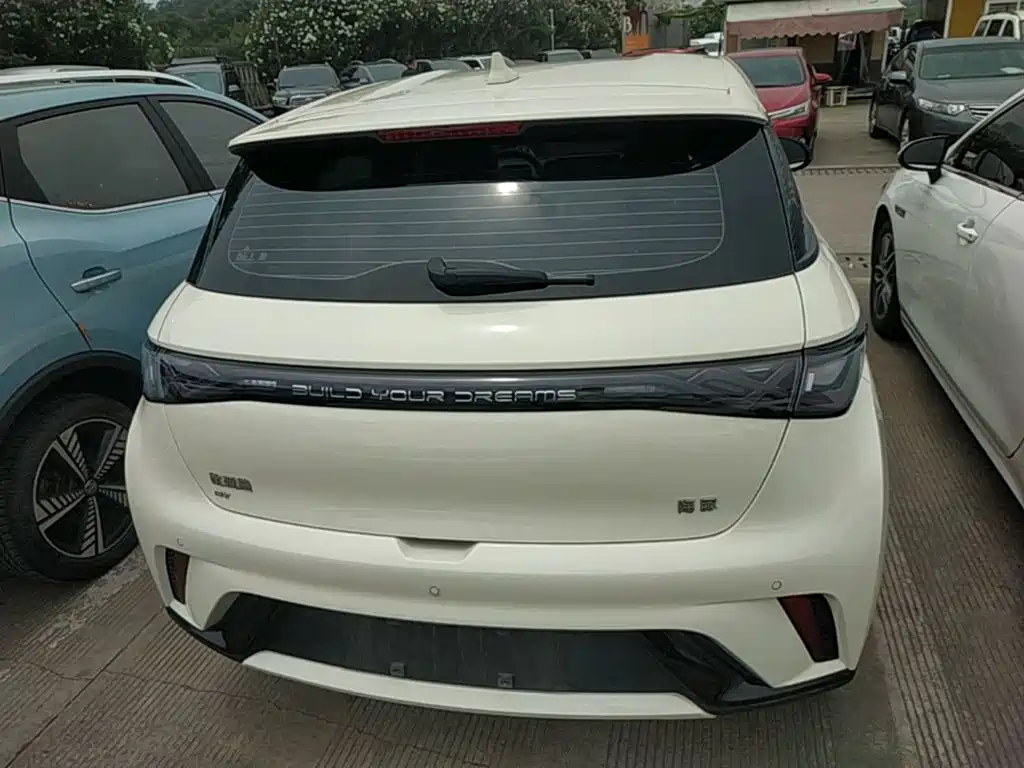 BYD Dolphin 2024 420km Freedom