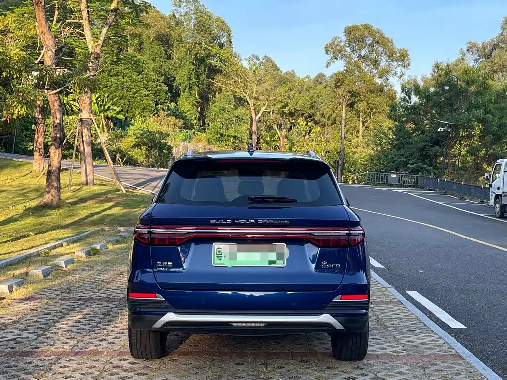BYD Pro New Energy — миниатюра 8