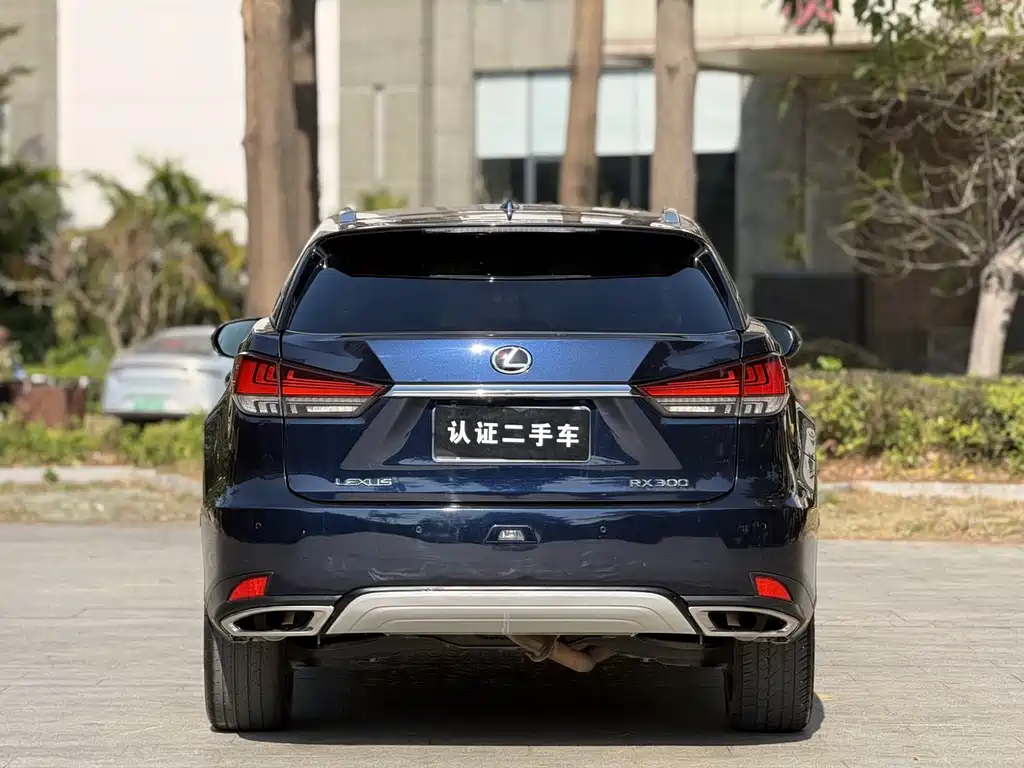 LEXUS RX