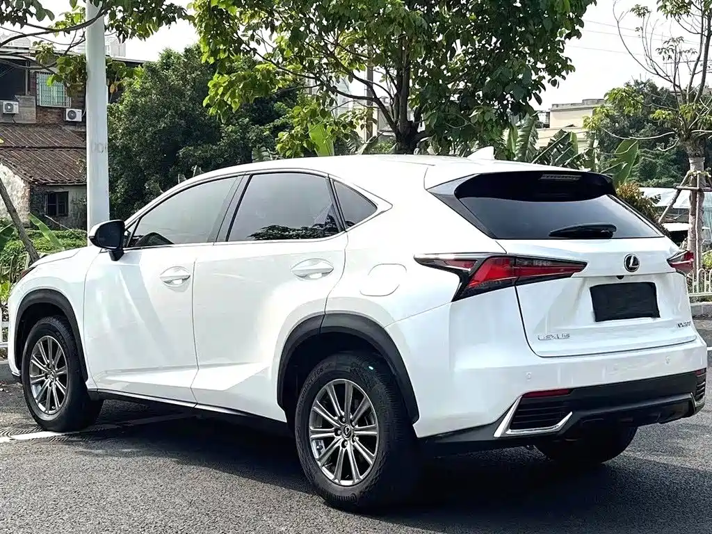 Lexus NX 2018 200 V