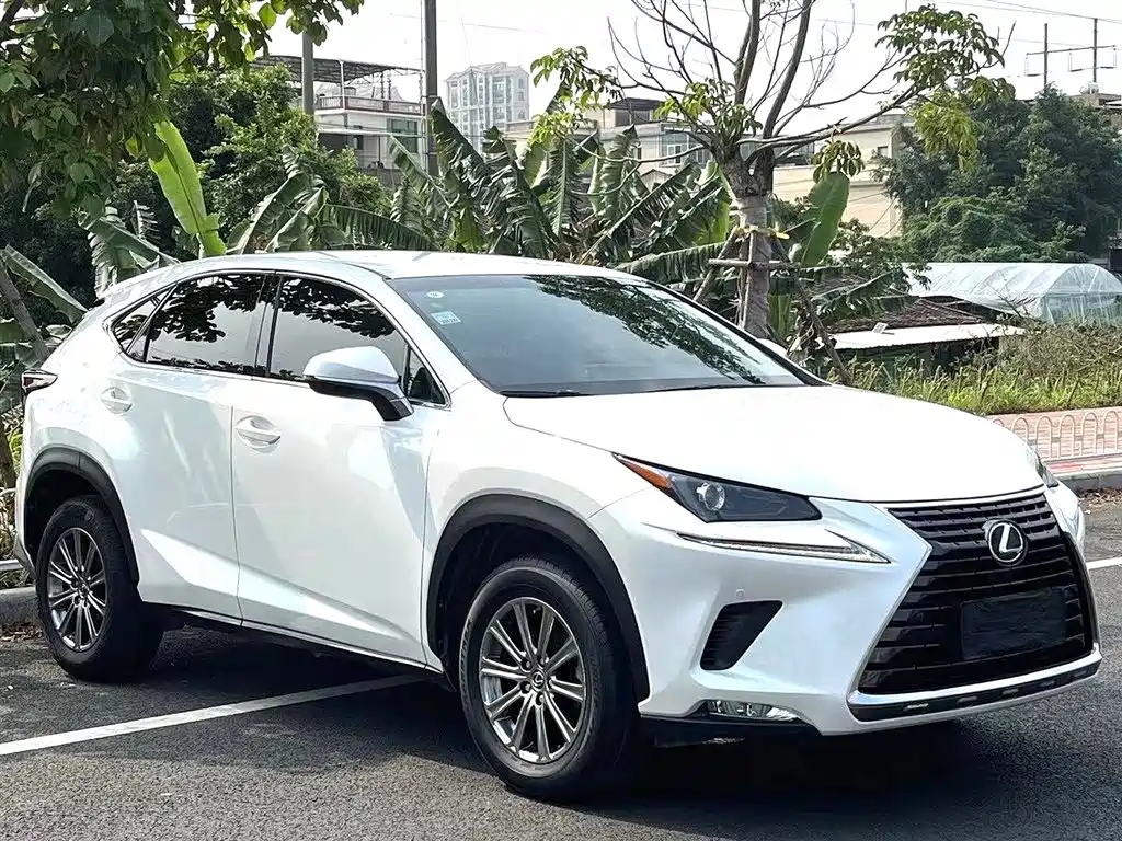 Lexus NX 2018 200 V