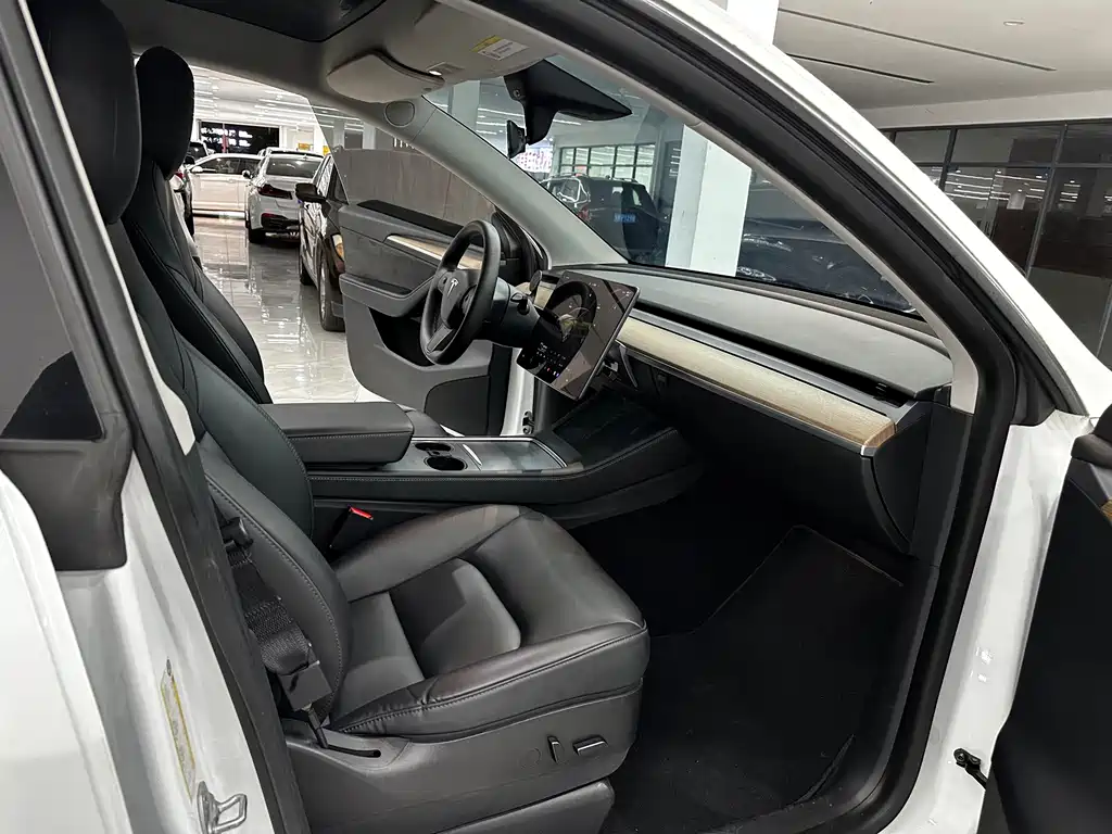 Tesla Model Y — миниатюра 8