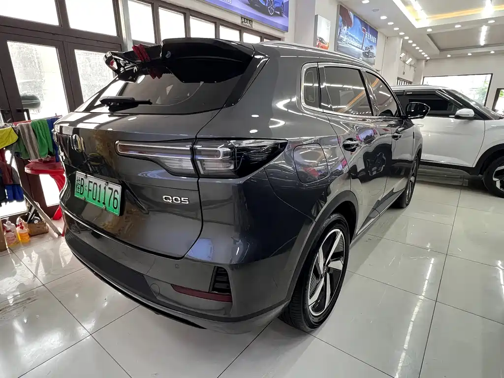 Qiyuan Чанг Ан Кай Q05 классика. — миниатюра 10