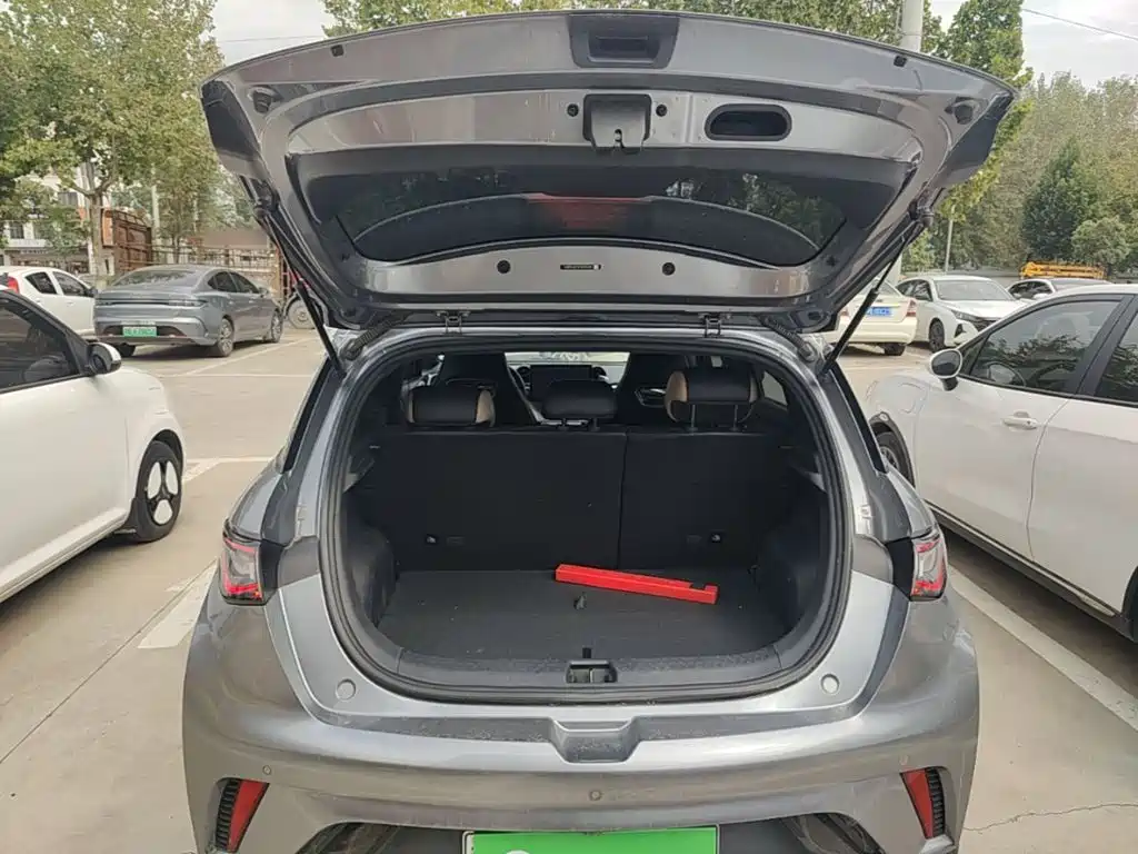 BYD Dolphin — миниатюра 19