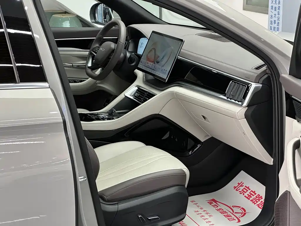 BYD SONGJIANG NEW ENERGY