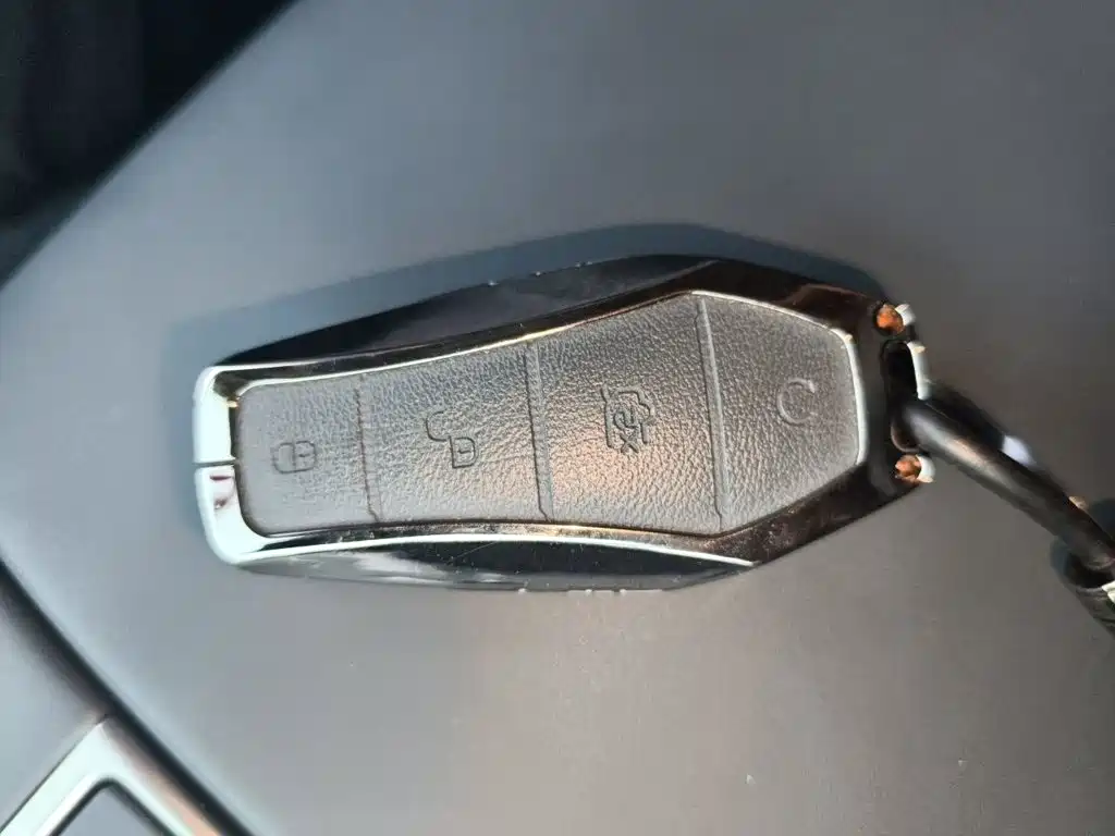 BYD Sealion 07 DM-i — миниатюра 9