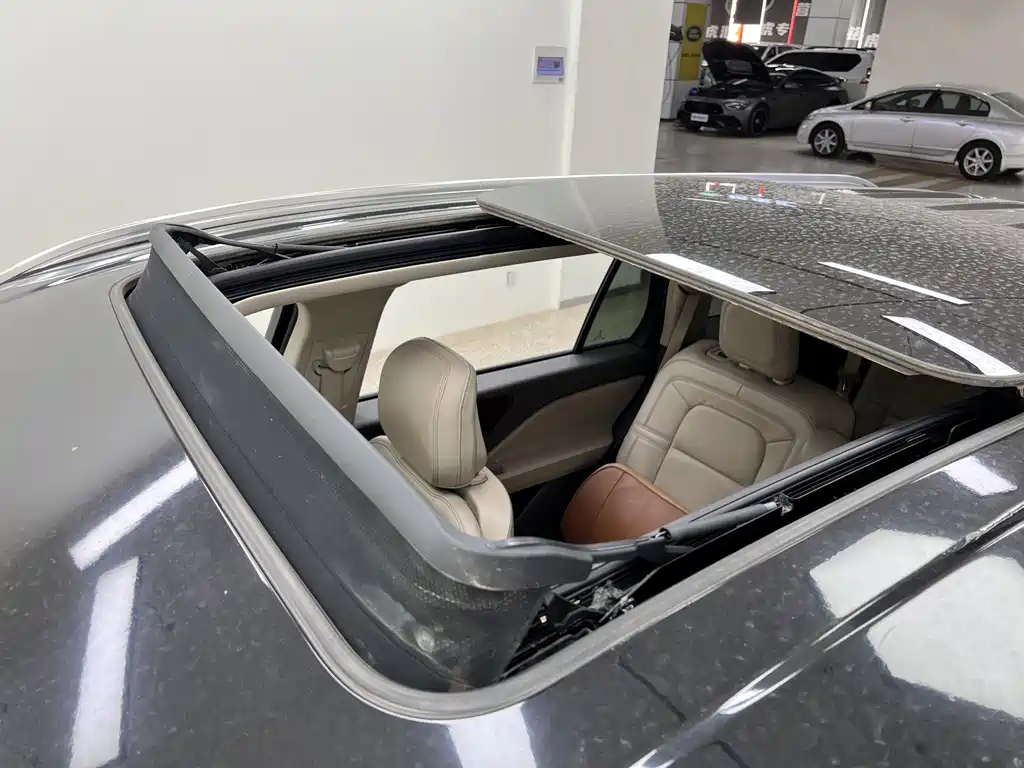 Lincoln Aviator 3.0T V6 4WD Premium Edition, фото 26