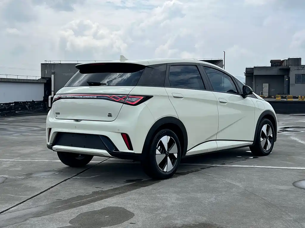 BYD Dolphin 2023 420km Fashion