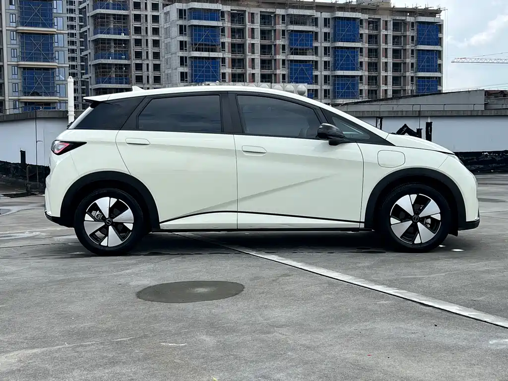 BYD Dolphin 2023 420km Fashion