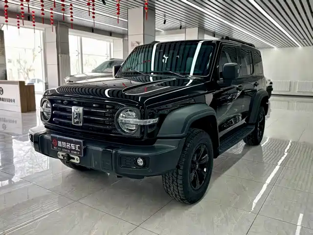 2021 TANK 300