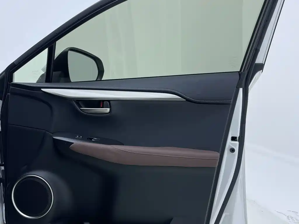 Lexus NX — миниатюра 27