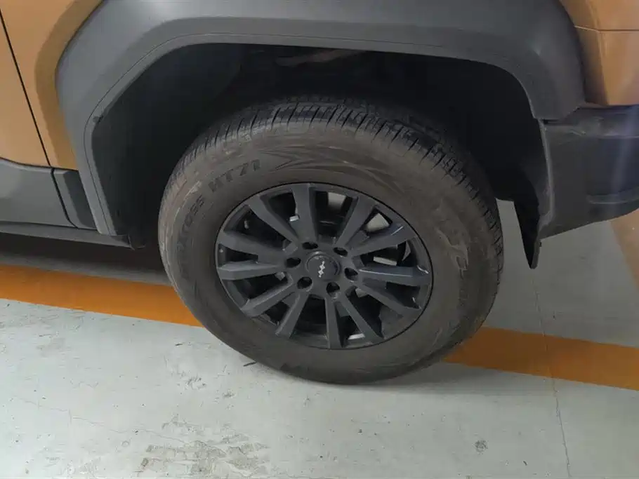 FANG CHENG BAO LEOPARD 5