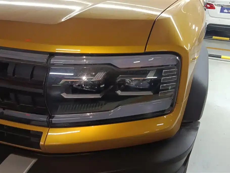 FANG CHENG BAO LEOPARD 5