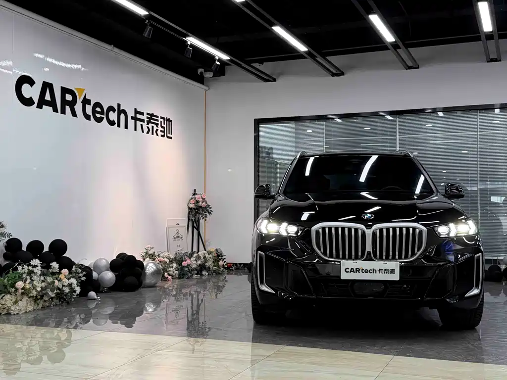 BMW X5 — миниатюра 2