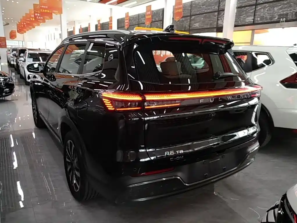 Fulwin Fengyun T8 — миниатюра 5