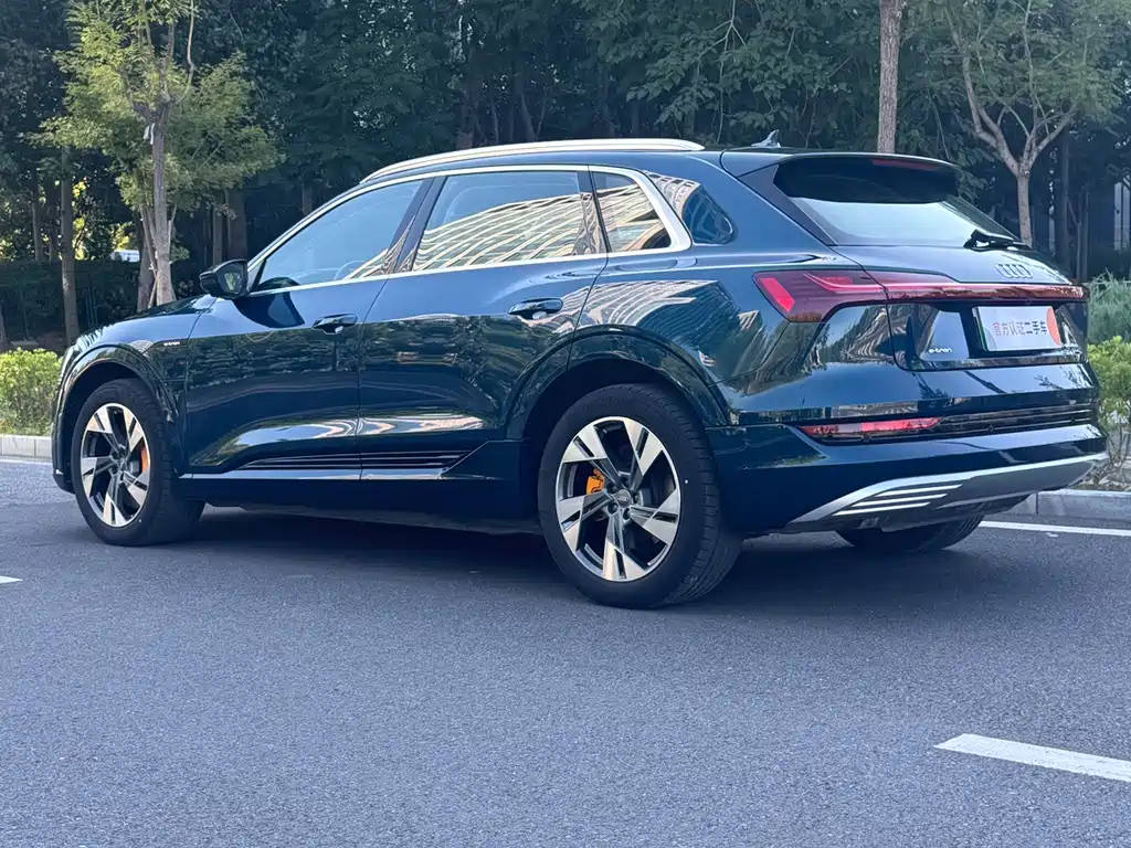 Audi e-tron (Import) — миниатюра 4