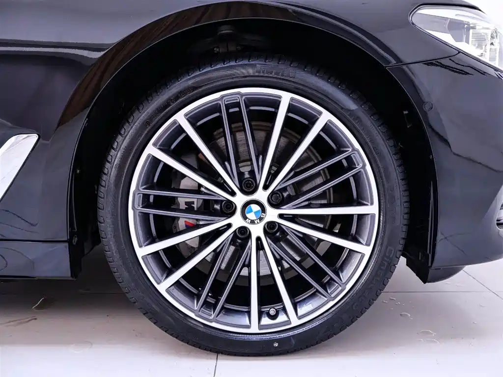 BMW 5 Series 5 2020 530Li Executive Luxury