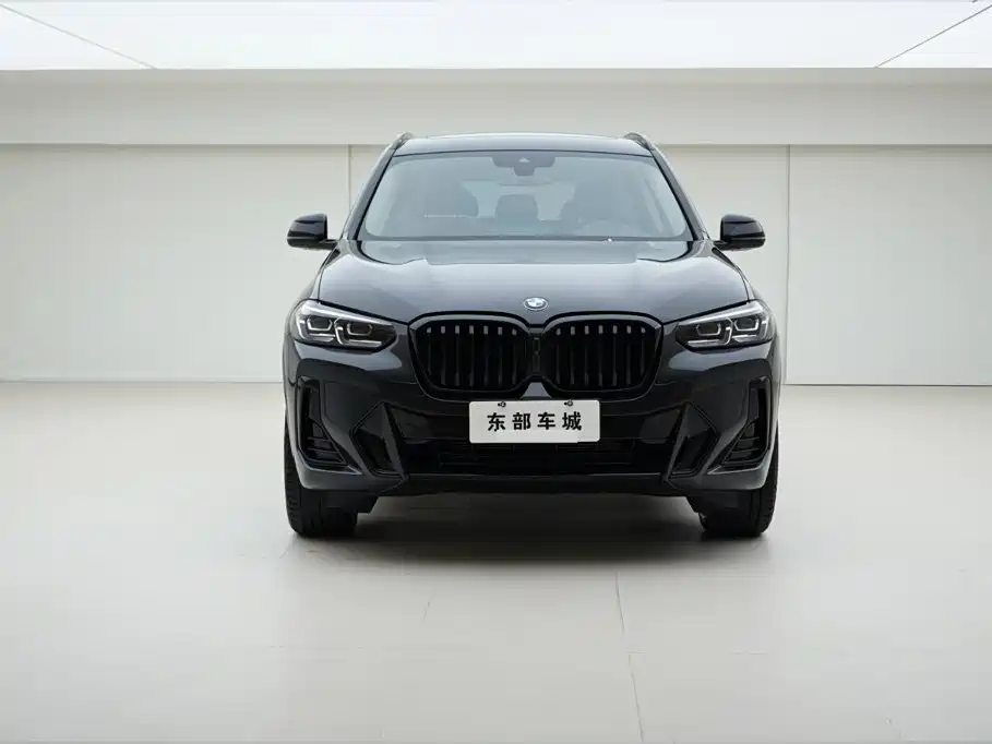 BMW X3 — миниатюра 3
