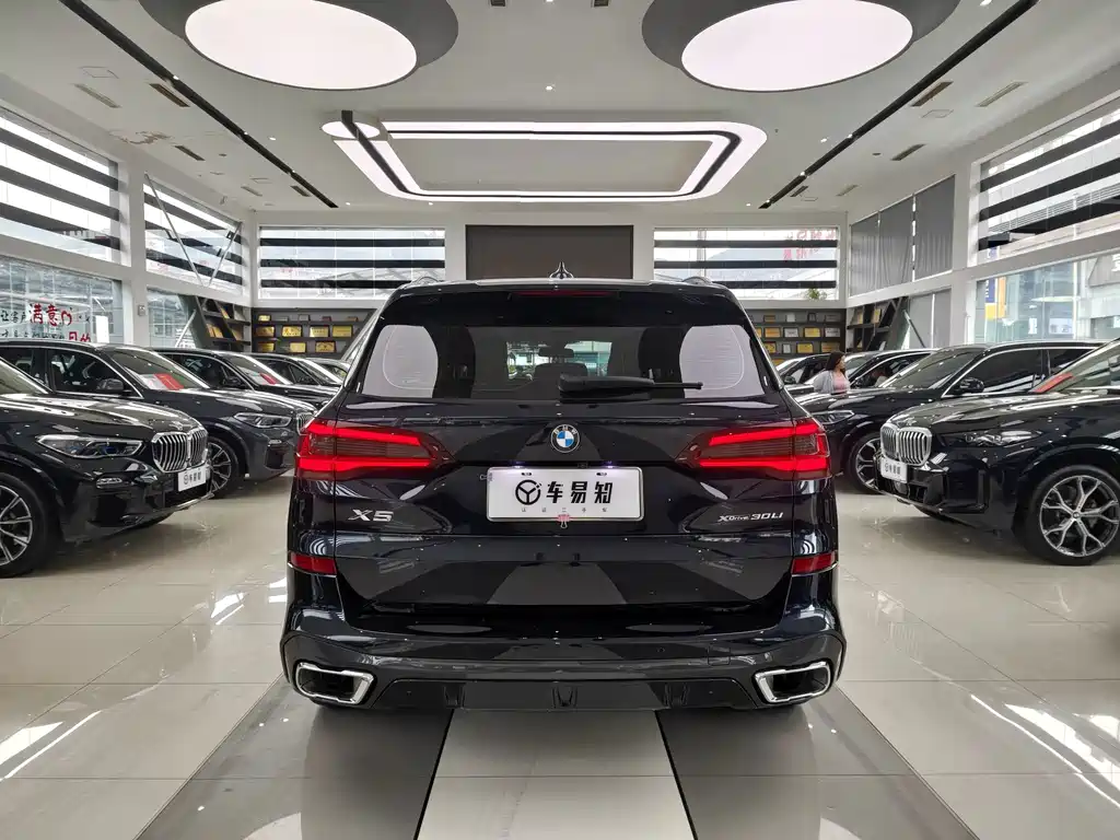 BMW X5 xDrive 30Li Premium Type M Sport Package, фото 13