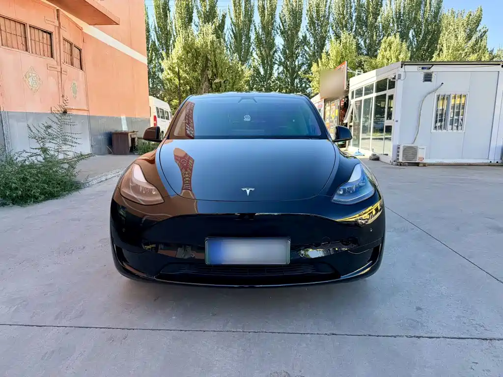 Tesla Model Y — миниатюра 3
