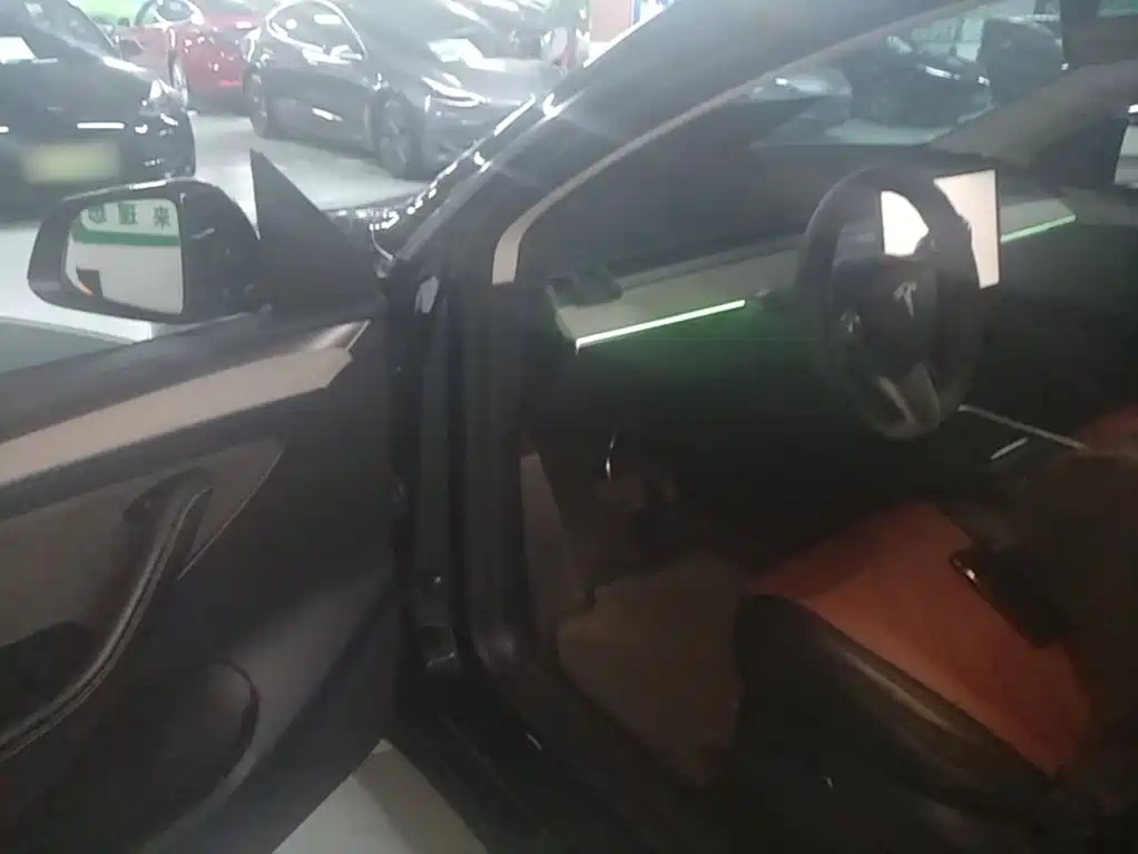 Tesla Model Y — миниатюра 16