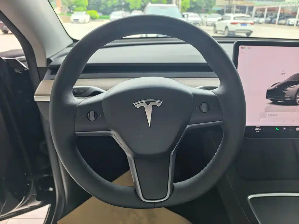 Tesla Model Y — миниатюра 4