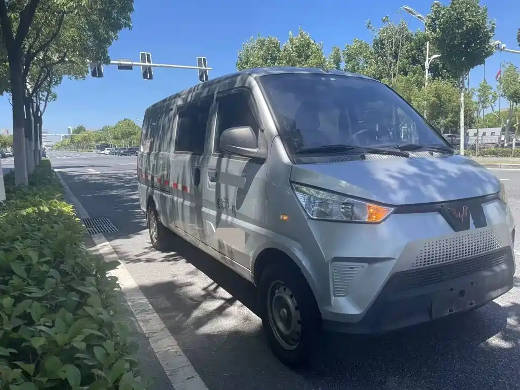 Wuling Wuling EV50 — миниатюра 2