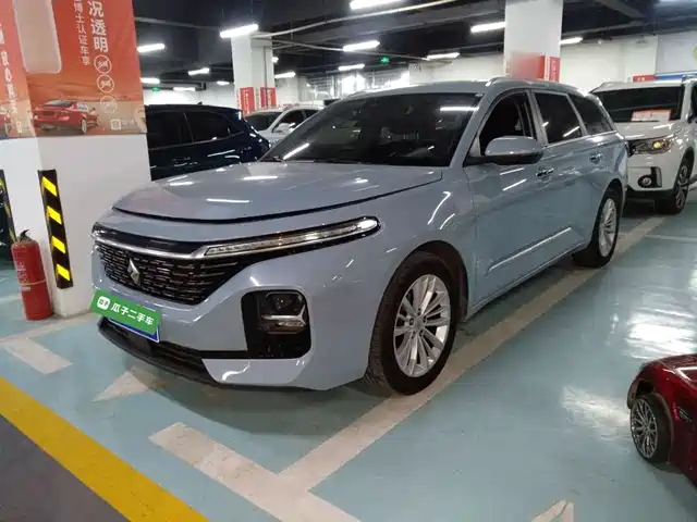 BAOJUN VALLI