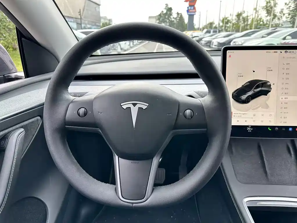 Tesla Model Y — миниатюра 6