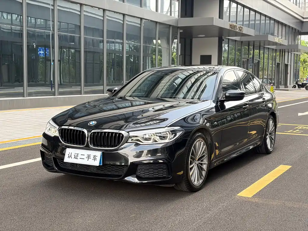 BMW 5 Series (Import)