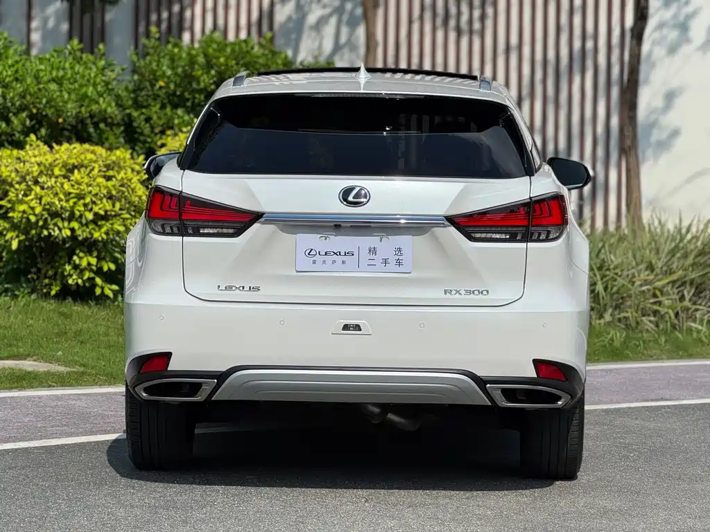 Lexus RX — миниатюра 13