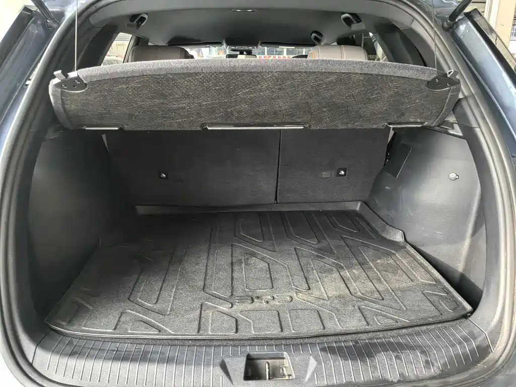 BYD SONGJIANG NEW ENERGY