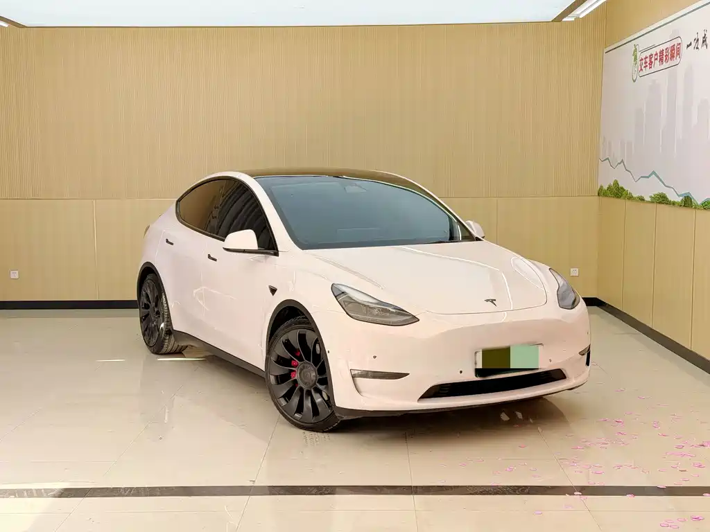 Tesla Model Y — миниатюра 3