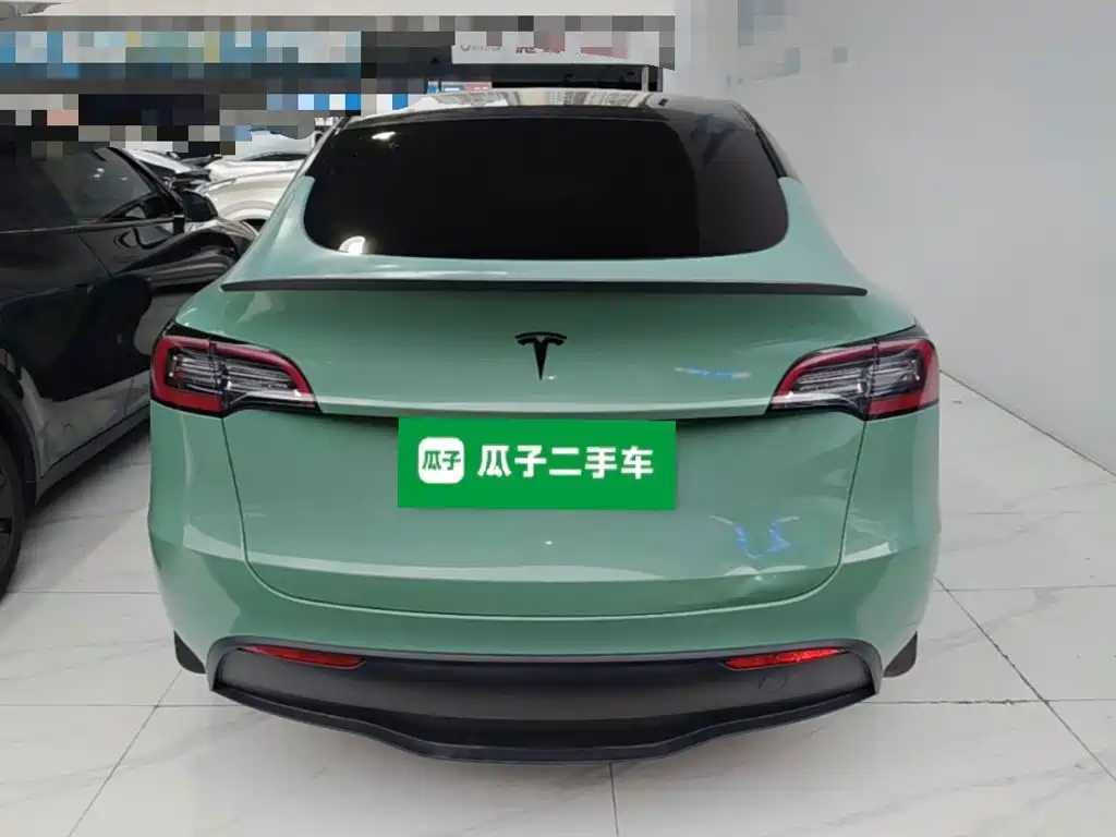 Tesla Model Y — миниатюра 6