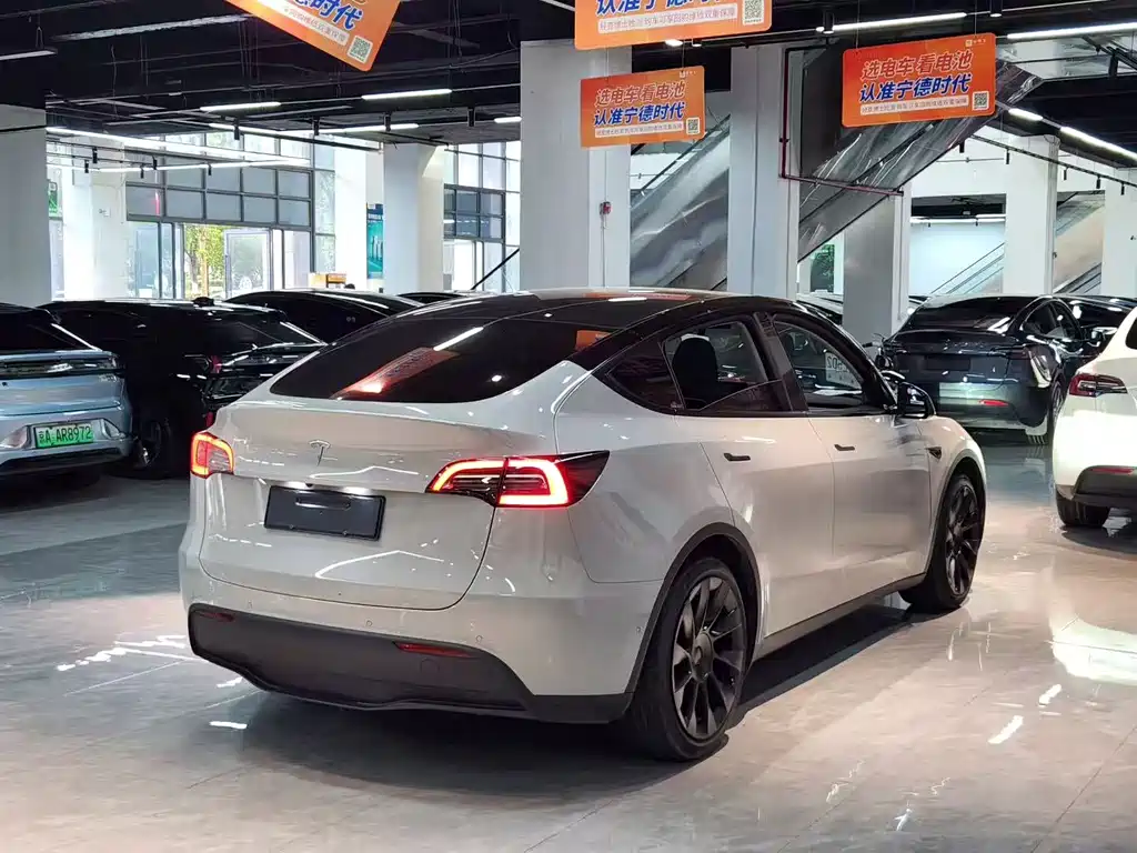 Tesla Model Y — миниатюра 7