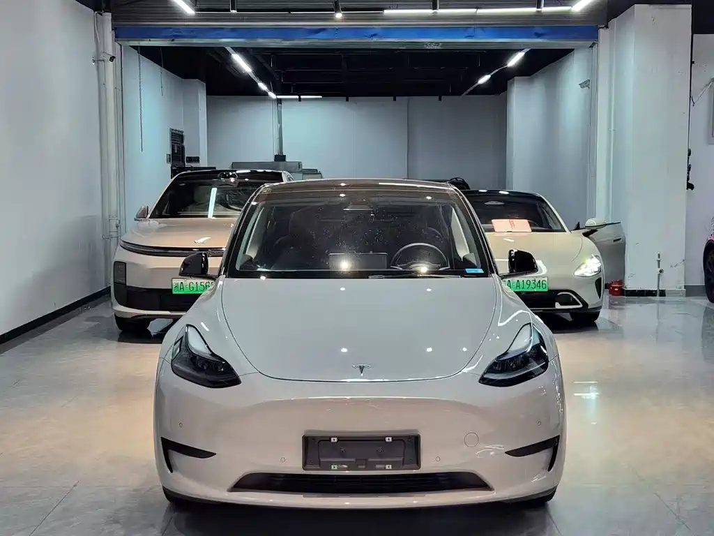 Tesla Model Y — миниатюра 2