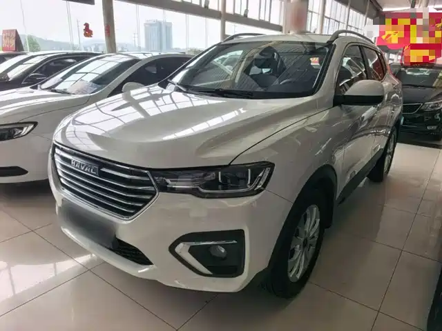 2019 Haval H2