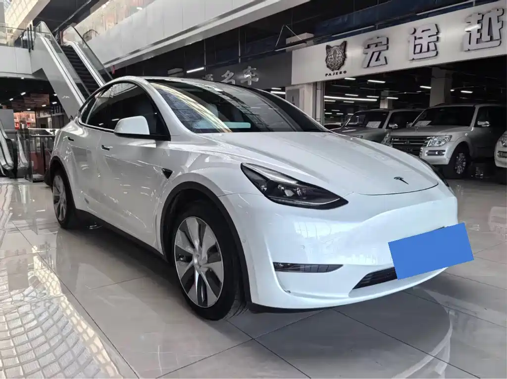 Tesla Model Y — миниатюра 3